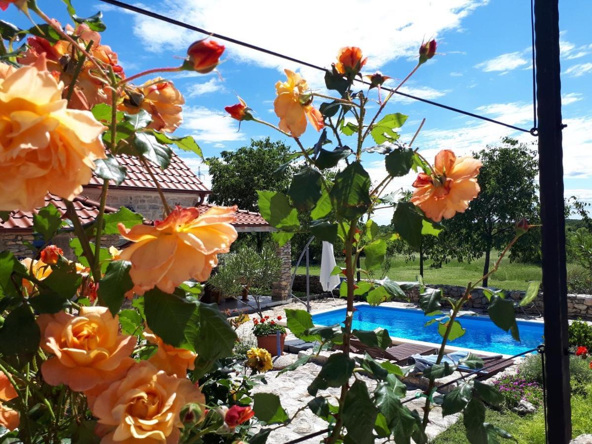 Holiday Home Toma Puljane Экстерьер фото